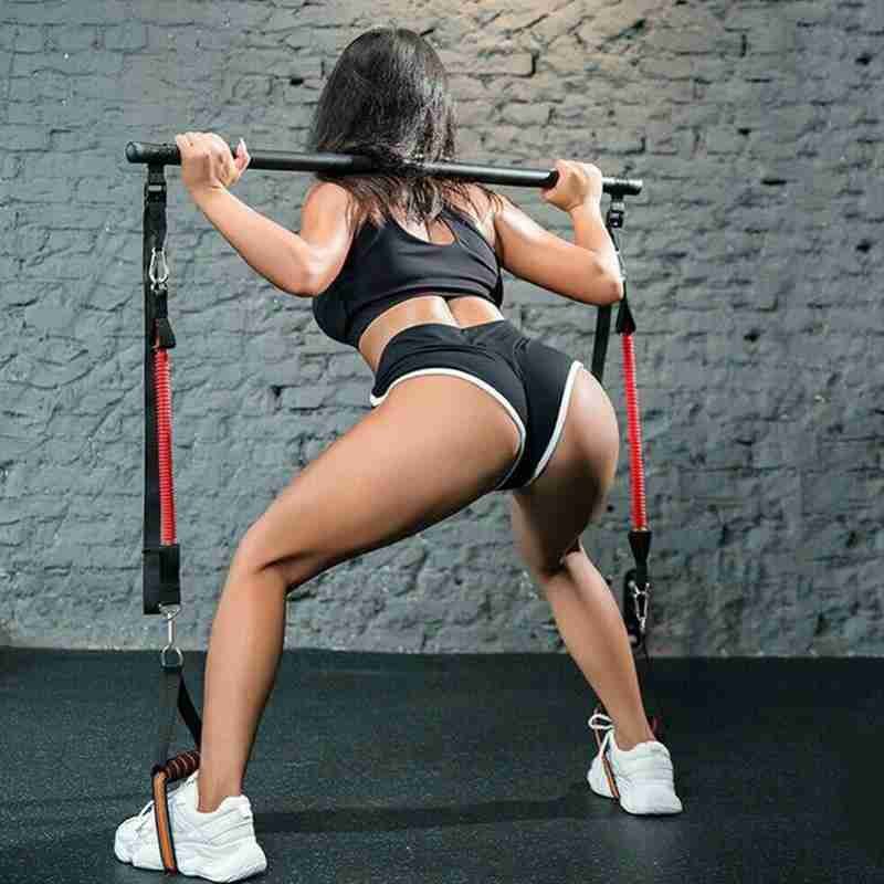 SH Fitness Pro Pilates Bar Kit with Adjustable Resistance Bands | Portable Home Gym